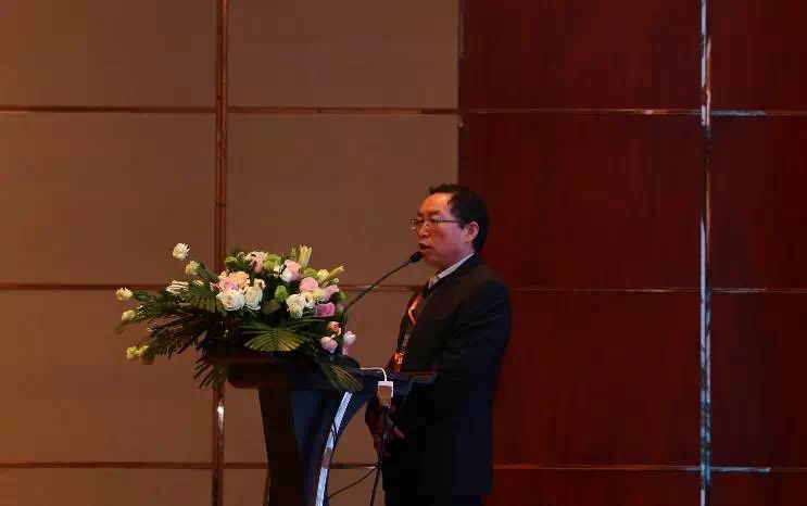 中國鋰電協(xié)會(huì)秘書長劉彥龍